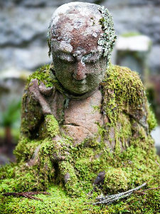 Moss covered Buddah statue